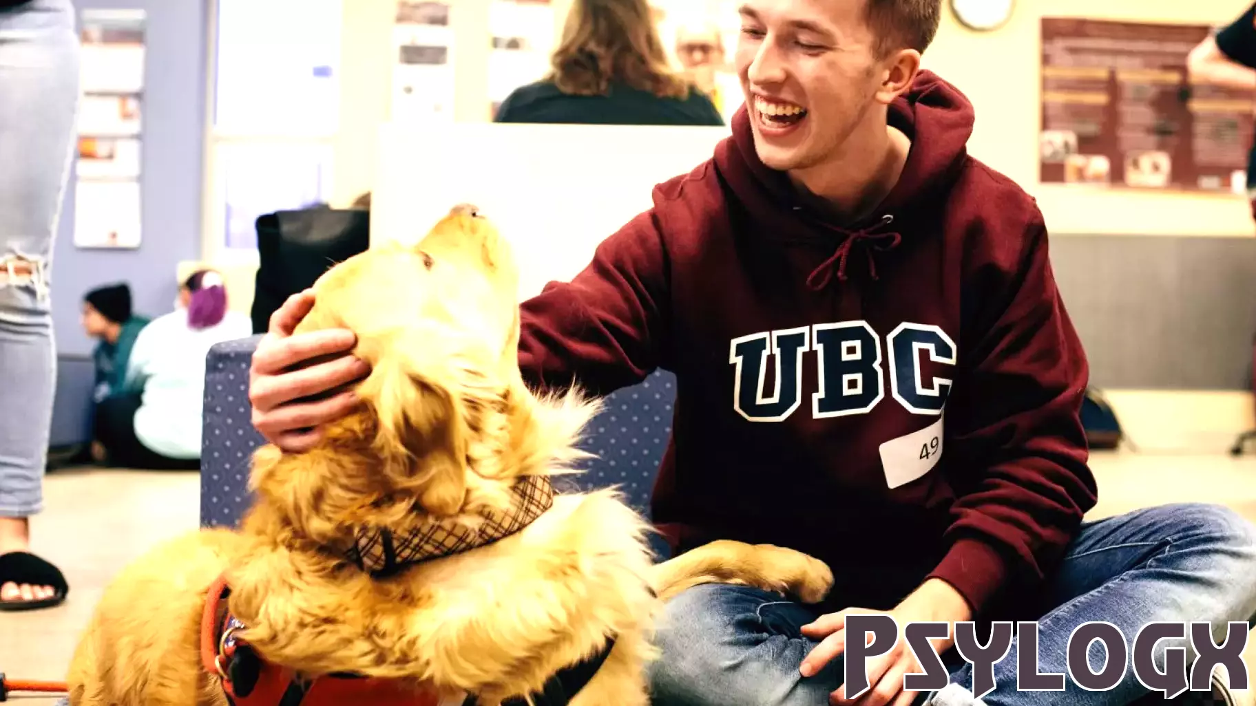 Bringing Joy to Campus: The Impact of Therapy Dogs on Student Well-Being