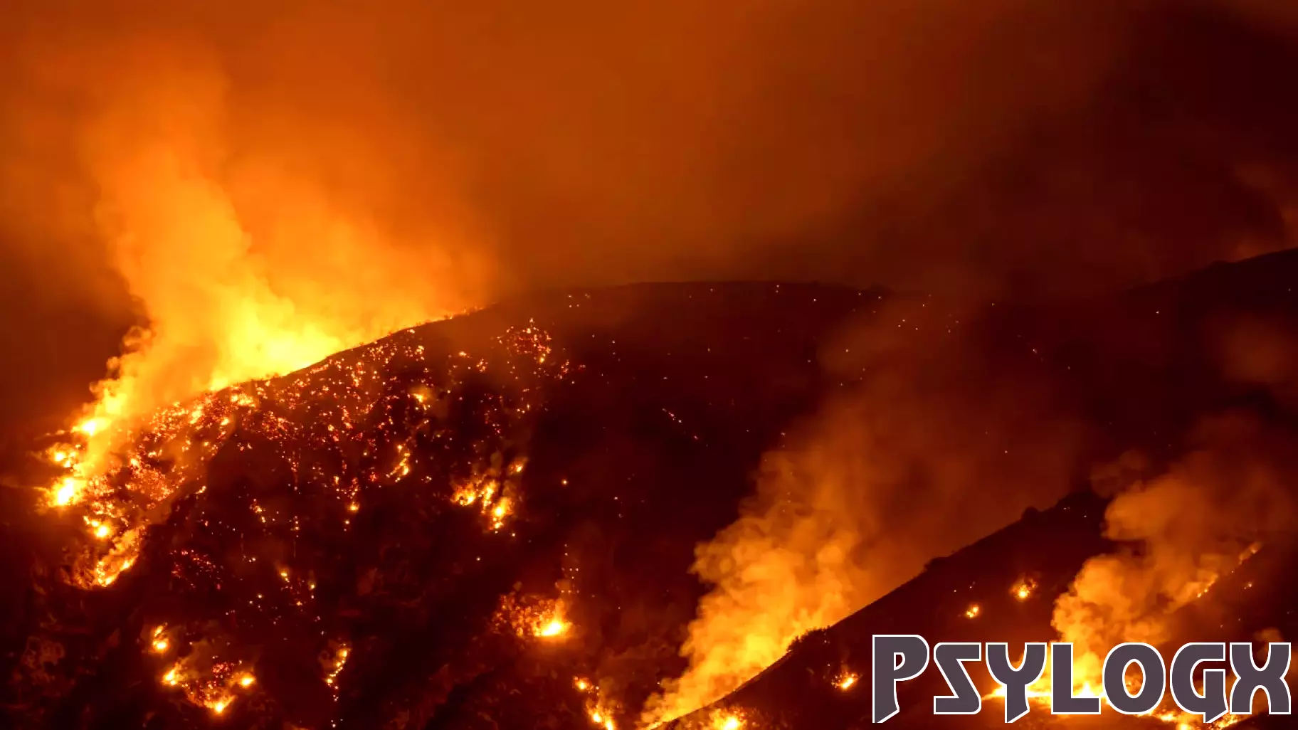 Resilience and Rebuilding: Southern California's Path After Wildfires