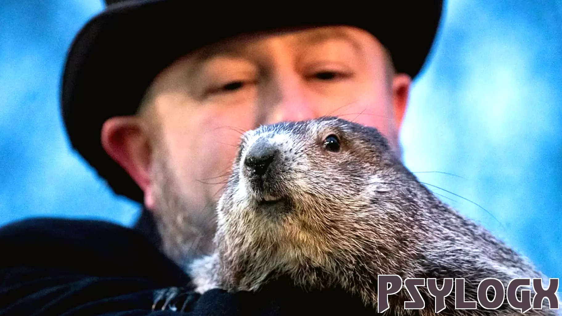 The Importance of Groundhog Day in Today's World