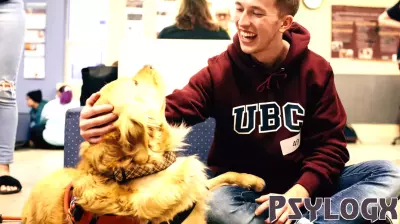 Bringing Joy to Campus: The Impact of Therapy Dogs on Student Well-Being