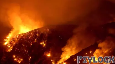 Resilience and Rebuilding: Southern California's Path After Wildfires